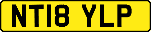 NT18YLP