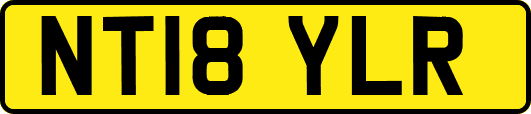 NT18YLR