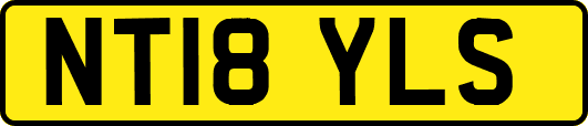 NT18YLS