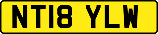 NT18YLW