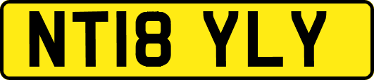 NT18YLY