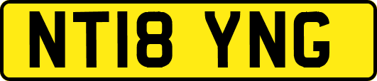 NT18YNG