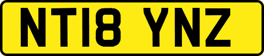 NT18YNZ