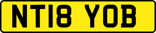 NT18YOB