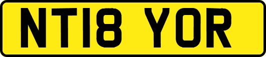 NT18YOR