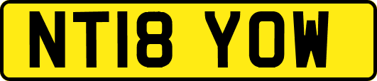NT18YOW