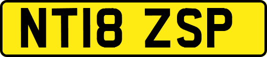 NT18ZSP