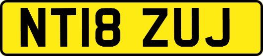 NT18ZUJ