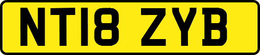 NT18ZYB