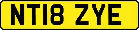 NT18ZYE