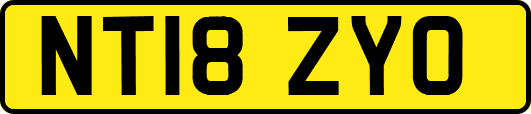 NT18ZYO