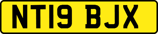 NT19BJX