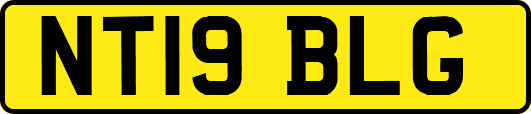 NT19BLG