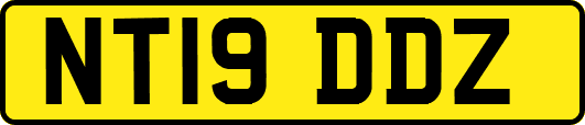 NT19DDZ
