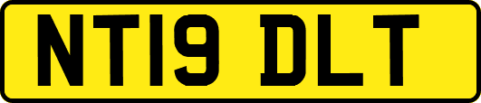 NT19DLT