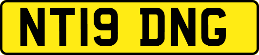 NT19DNG
