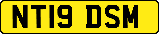 NT19DSM