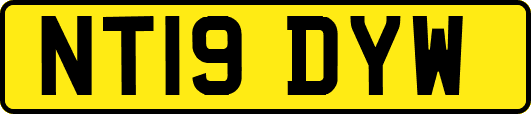 NT19DYW