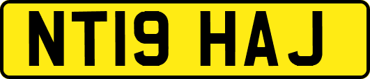 NT19HAJ