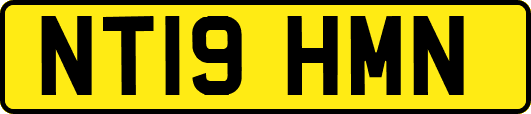NT19HMN
