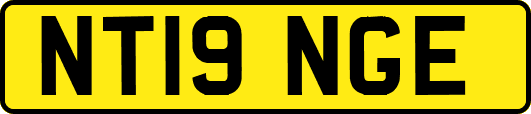 NT19NGE