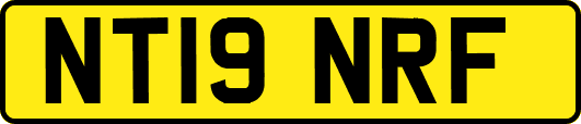 NT19NRF