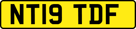 NT19TDF