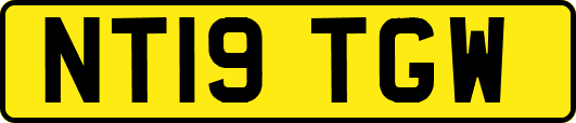 NT19TGW
