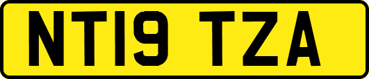 NT19TZA