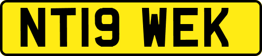 NT19WEK