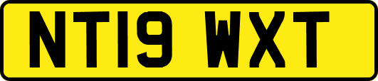 NT19WXT