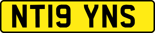 NT19YNS