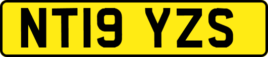 NT19YZS
