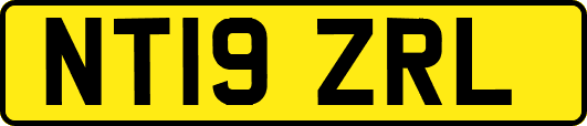 NT19ZRL