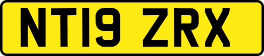 NT19ZRX