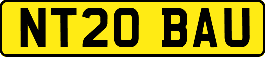 NT20BAU
