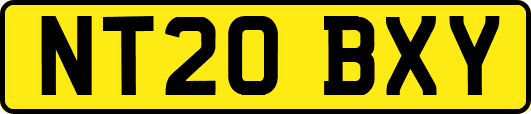NT20BXY