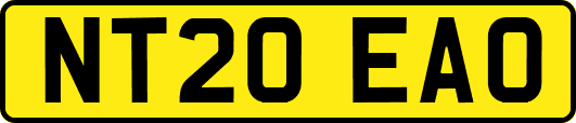 NT20EAO