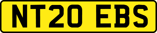 NT20EBS