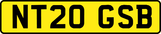 NT20GSB