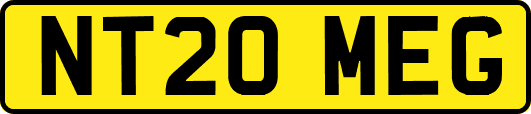 NT20MEG