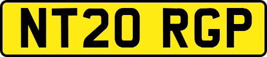 NT20RGP