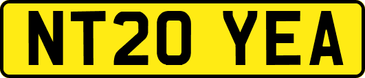 NT20YEA