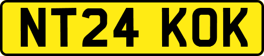 NT24KOK