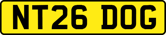 NT26DOG