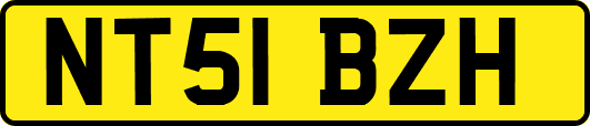 NT51BZH