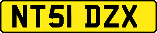 NT51DZX