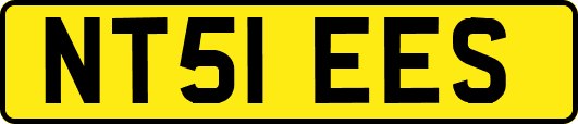 NT51EES