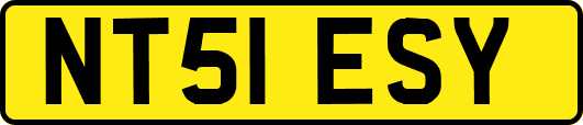NT51ESY