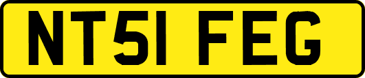 NT51FEG